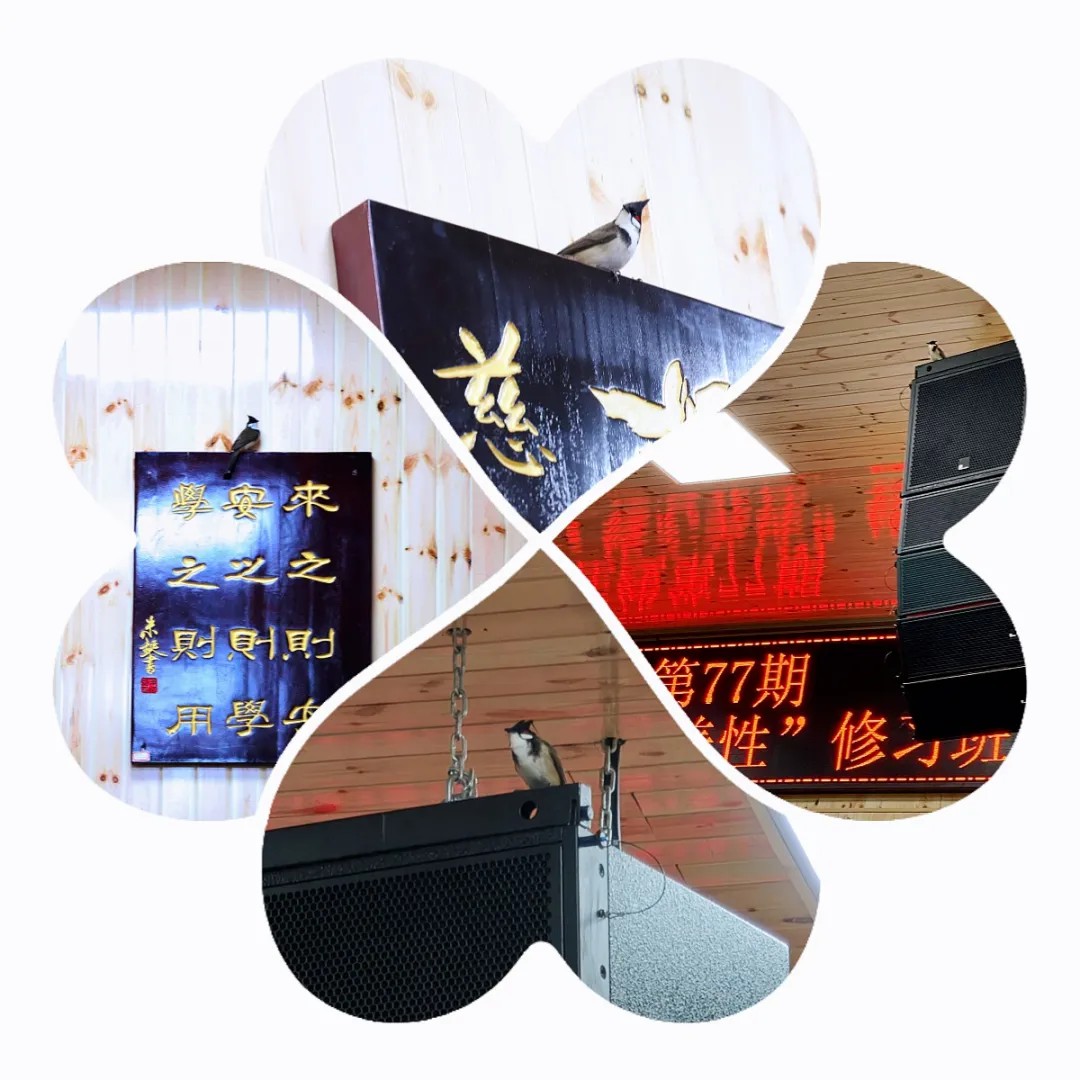 1728812079440453.jpg 1728812079440453.jpg