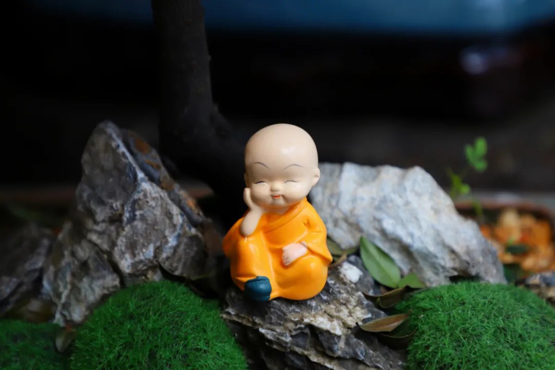 1730797091290488.jpg 1730797091290488.jpg